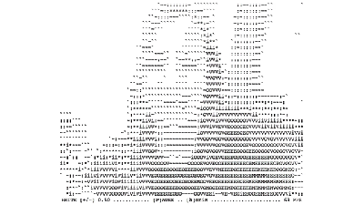 Your Webcam Feed In ASCII Is The Greatest Thing You’ll See Today
