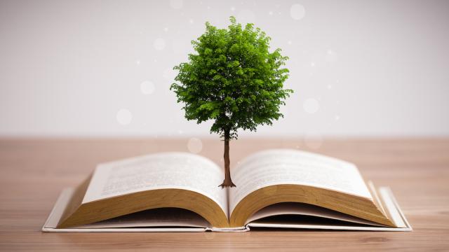 Scientists Genetically Modified Trees So They Can Make Greener Paper