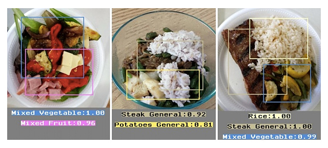 A Calorie-Tracking Image Recognition App Keeps Portions Under Control