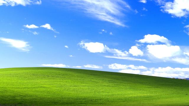 Photographer Reveals The Secret Of The Windows XP Desktop Image