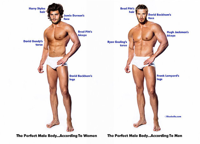 The Perfect Male And Female Body According To Males And Females