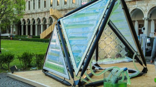This Photosynthetic Algae Roof Filters The Neighbourhood Air