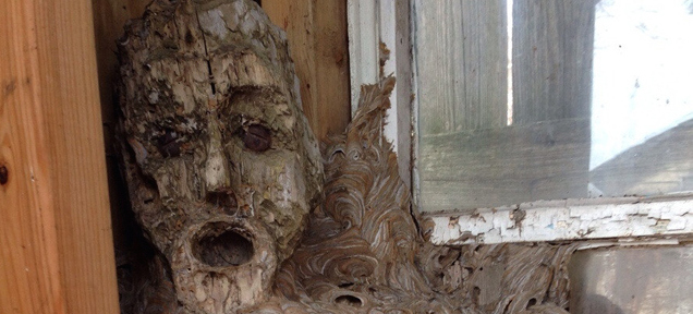 Oh God, This Giant Fused Hornet’s Nest Looks Like It Swallowed A Human