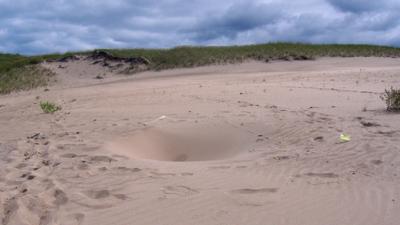 No One Knows Why Deep, Dangerous Holes Are Appearing In This Sand Dune