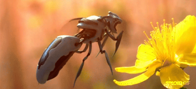 Millions Of These Robotic Bees May Roam The World In The Near Future