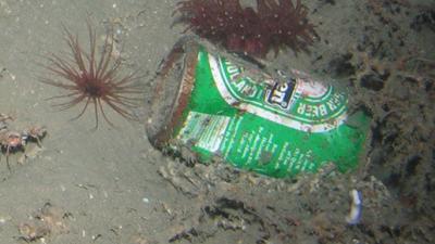 There’s Garbage In The Deepest, Most Remote Parts Of The Ocean
