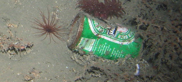There’s Garbage In The Deepest, Most Remote Parts Of The Ocean