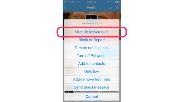 Twitter For Mobile Now Lets You Mute Individual Users