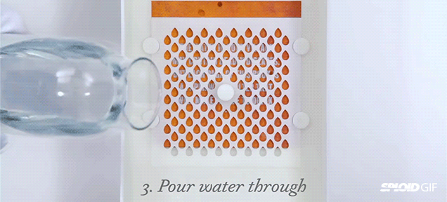 This Water-Filtering Book Could Save Millions Of Lives