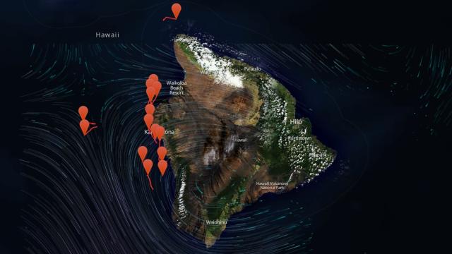 Watch As This Map Tracks The Whales Swimming Around Hawaii