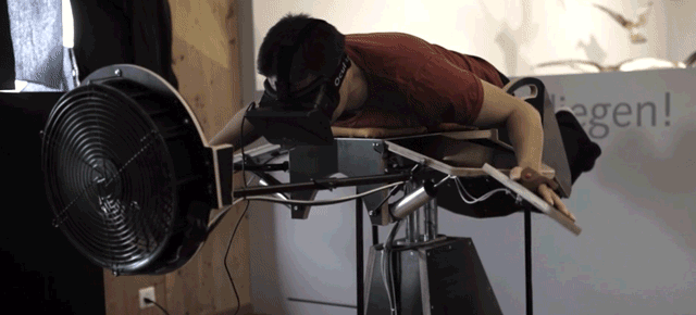 Soar Like A Bird With The Oculus Rift, And This Crazy Flapping Machine