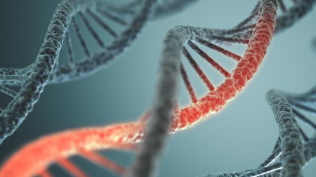 Scientists Have Created ‘Alien’ DNA
