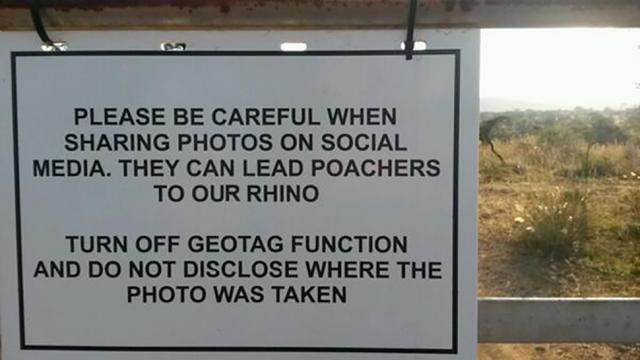 Poachers Can Use Your Geotagged Safari Photos To Hunt Down Rhinos