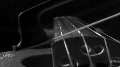 The Strings Of A Violin Deform Wildly When You Play It