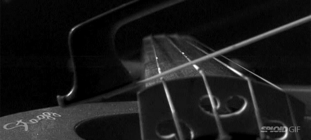 The Strings Of A Violin Deform Wildly When You Play It