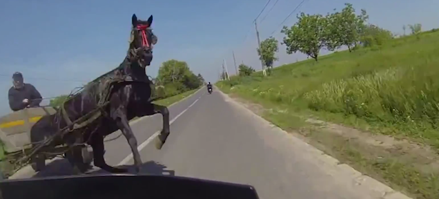 Oh My, Motorcyclist Just Misses Crashing Into A Horse On The Road