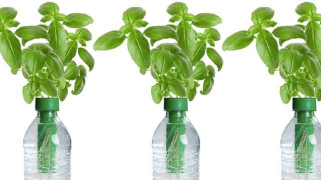 Seed-Filled Caps Turn Plastic Bottles Into Tiny Gardens