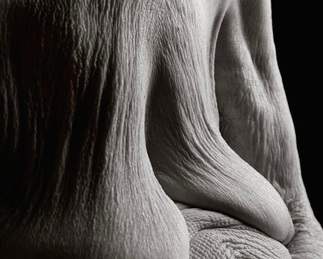 What The Human Body Looks Like At 100 Years Old