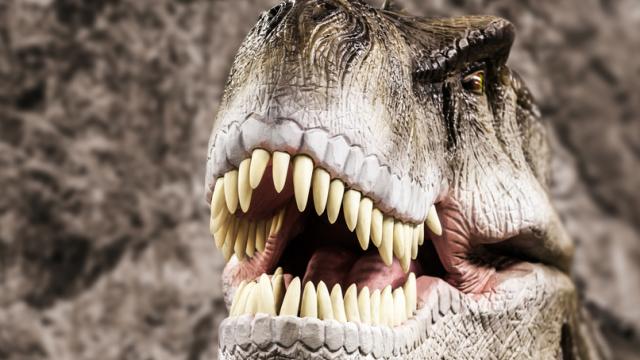 Jurassic Park Lied To You: T-Rex Actually Had Great Eyesight