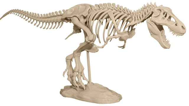 Start Your Own Private Museum With A 3D Printer And This T-Rex Model
