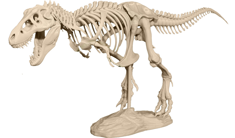 Start Your Own Private Museum With A 3D Printer And This T-Rex Model