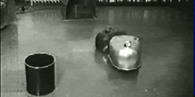 These Adorable ‘Robot Tortoises’ Were The Roombas Of 1949