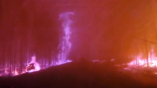 Extremely Scary Video Of Car Driving Right Across A Forest Fire