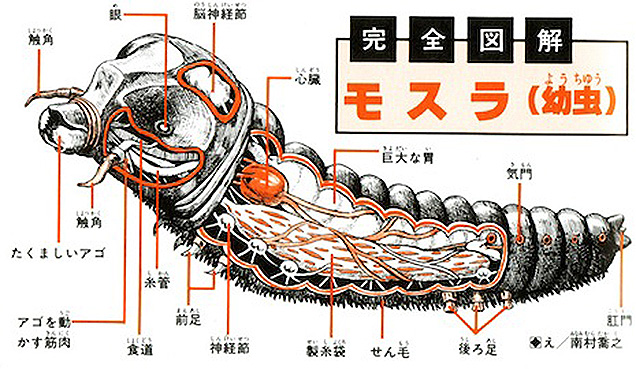 Cool Drawings Show The Anatomy Of Godzilla And All His Friends And Foes