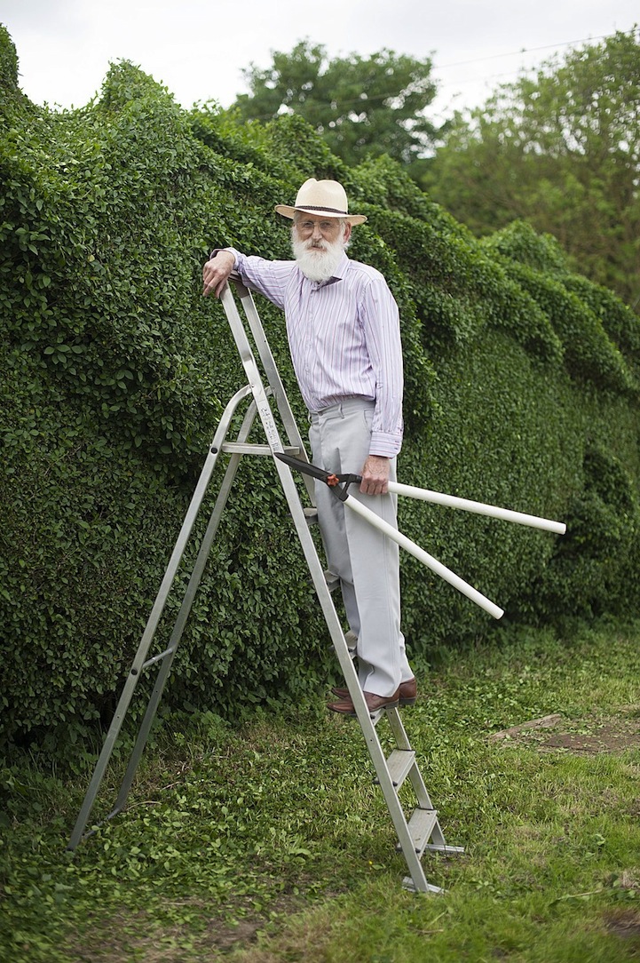 Retired Man Sculpts Hedge Into 30m Long Dragon