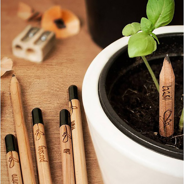 These Plantable Pencils Grow Fresh Herbs From Your Failed Lit Ambitions