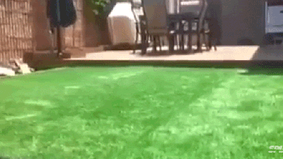 There’s A Pool Hidden Underneath This Backyard