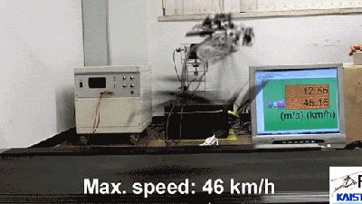 This Terrifying Robo-Raptor Will Hunt You Down At 46km/h