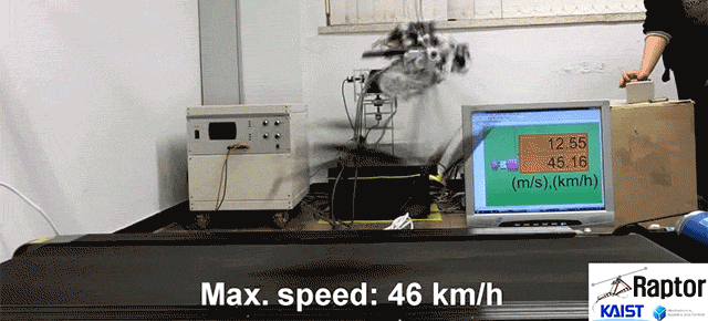 This Terrifying Robo-Raptor Will Hunt You Down At 46km/h
