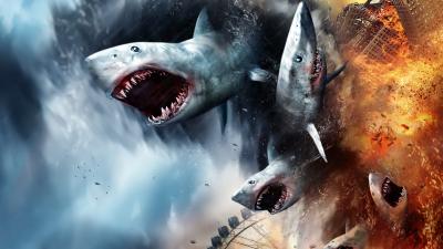 Ranking the Shark Smarts of Horror’s Most Toothsome Predators