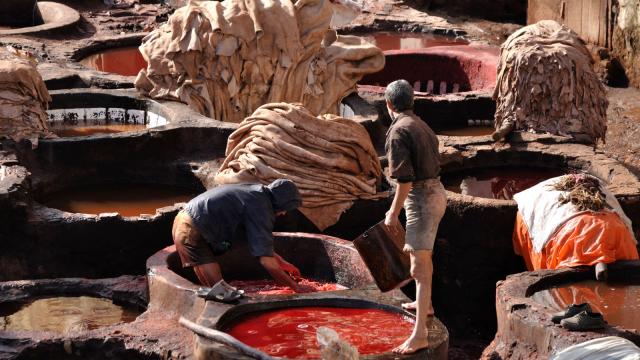 Giz Explains: How Leather Is Slowly Killing The People And Places That Make It
