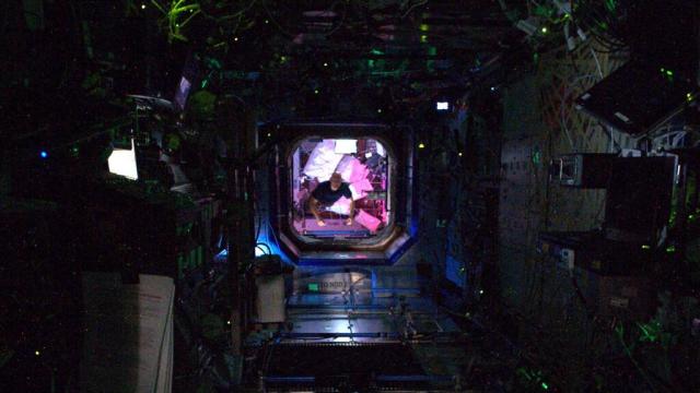 This Photo Of The ISS Looks Like A Scene From A Space Horror Movie