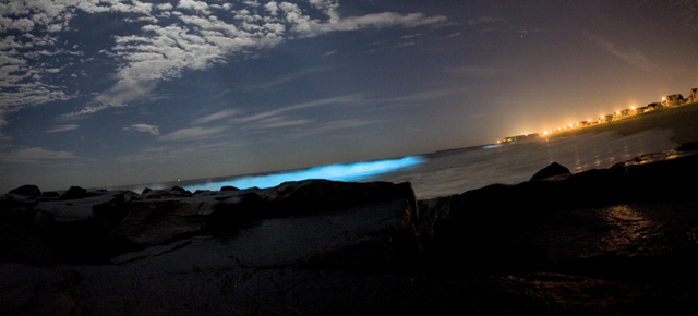 A Town’s Famous Bioluminescent Bay Is Going Dark And No One Knows Why