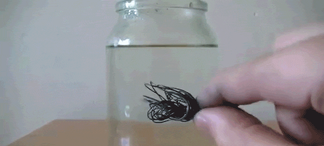 Wire Magically Untangles Itself In Water