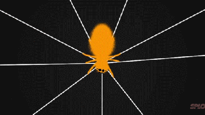 How Spiders Tune And Play Their Webs Like Strings On A Guitar