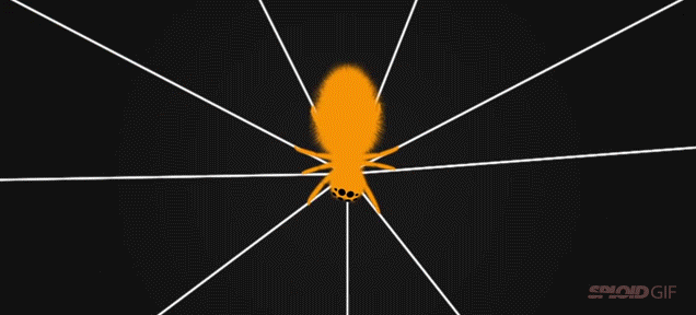 How Spiders Tune And Play Their Webs Like Strings On A Guitar