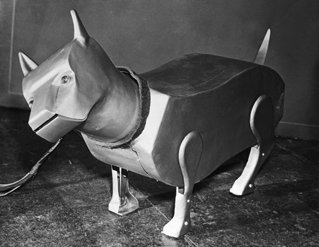 Six Pets That Were Supposed To Be Man’s Best Friend In The Future