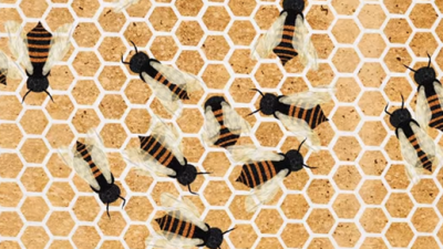 Why Hexagons Are The Best Building Block For Bees And Their Hives