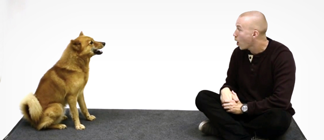 How Dogs React When A Human Dog Impersonator Barks At Them