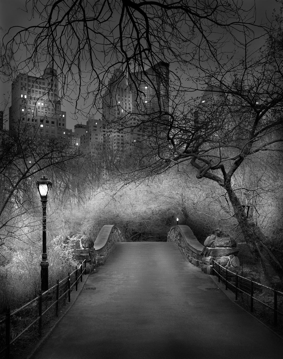 New York’s Central Park Never Looked So Beautiful As In These Photos