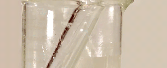 Here’s An Easy Trick To Make Glass Totally Invisible