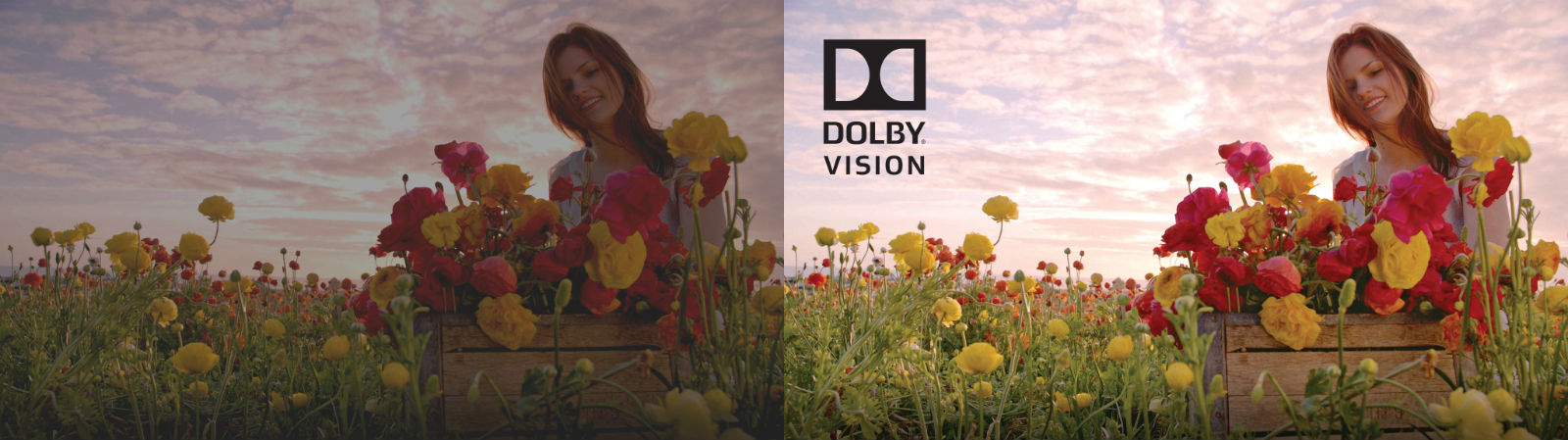 How Dolby Vision Works, And How It Could Revolutionise TVs Forever