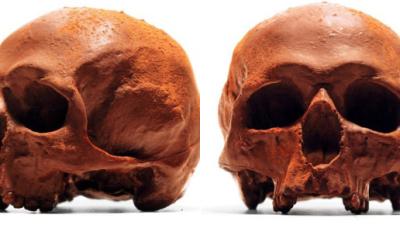 An Anatomical Chocolate Skull For Sweet-Toothed Cannibals