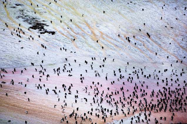 Antarctica Is Actually An Amazingly Colourful Place