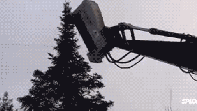 This Machine Erases Entire Trees Out Of Existence In Seconds
