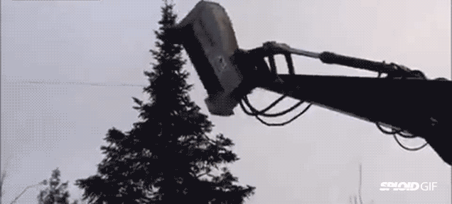 This Machine Erases Entire Trees Out Of Existence In Seconds